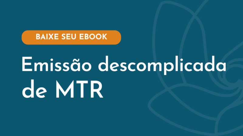 Emissão descomplicada (2)